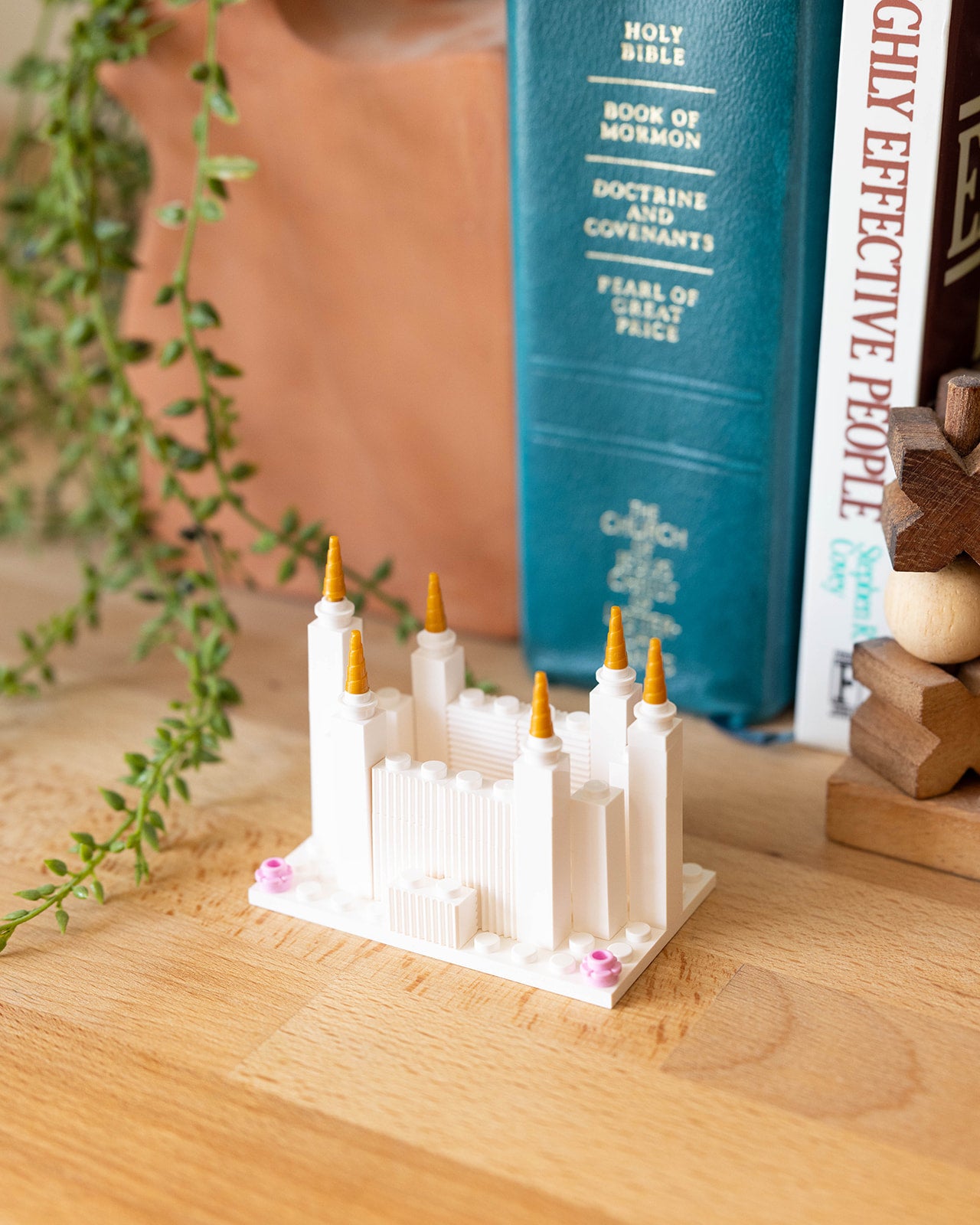 Washington D.C. Temple